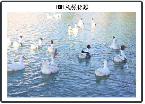 机器人”能够抓取仓库中约四分之三的物品开