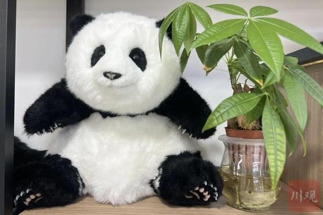 猫来了！千亿级大市场怎么争取开元棋牌试玩能摆龙门阵的熊(图3)